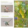 The Northern Peru Birding Route