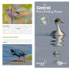 The Central Peru Birding Route