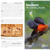 The Southern Peru Birding Route