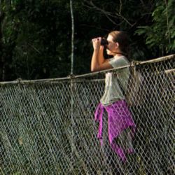 Girl on bridge looking for birds through binoculars